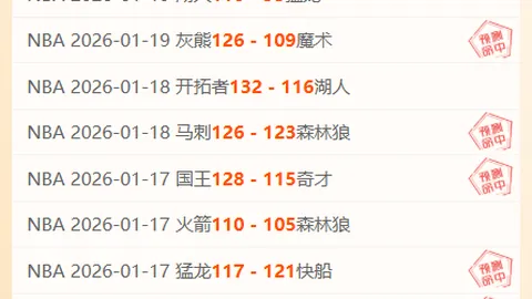 任翔宇因伤缺席2025年世界羽联总决赛报道——大众新闻·大众日报